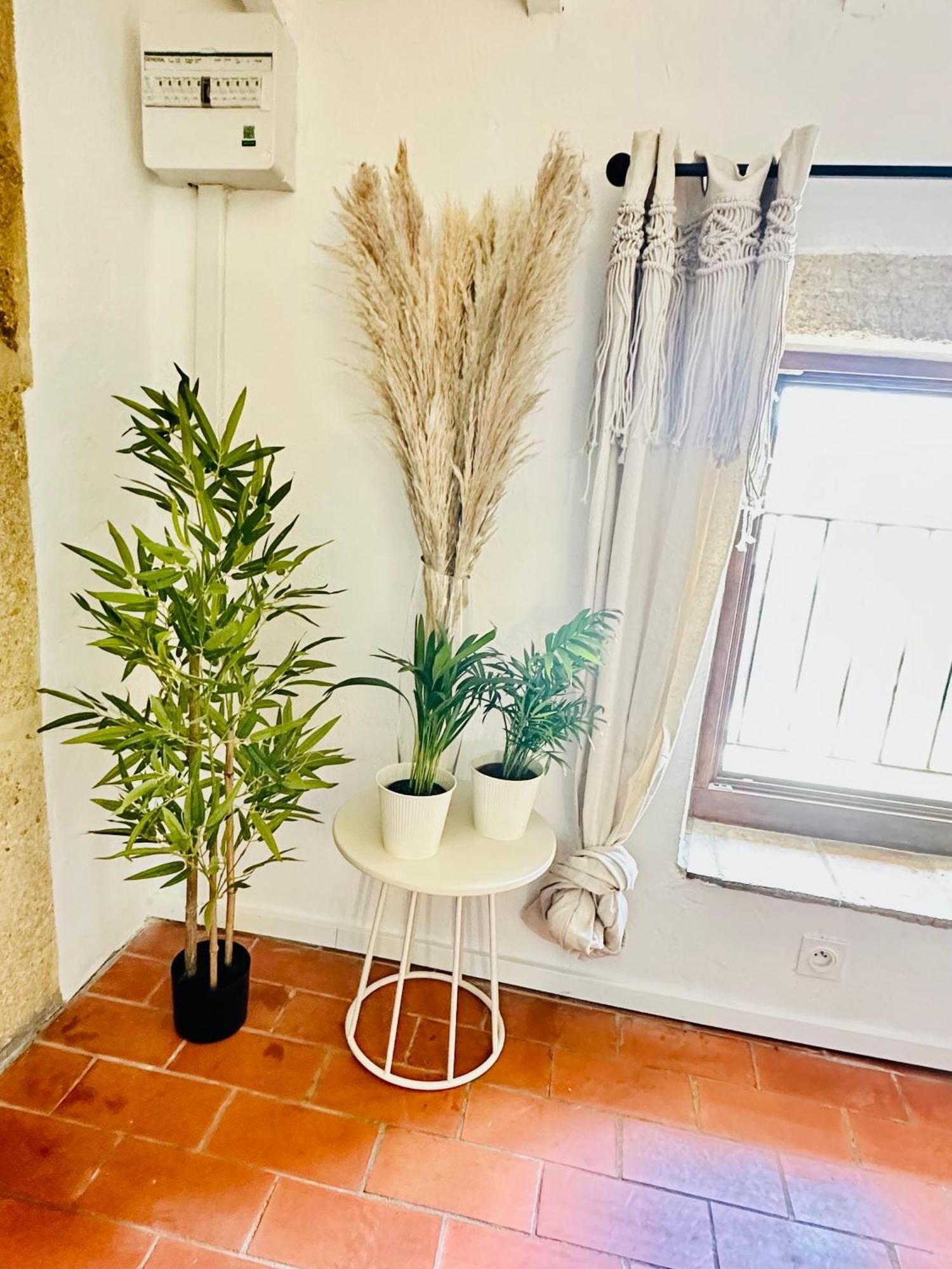 La Boheme : Gardon Et Pont Du Gard Apartment Remoulins Ngoại thất bức ảnh